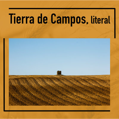 Tierra de Campos, literal – una exposición de curcue