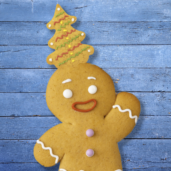 Taller Galletas Navideñas con Natalia Rodriguez - Soy Paste